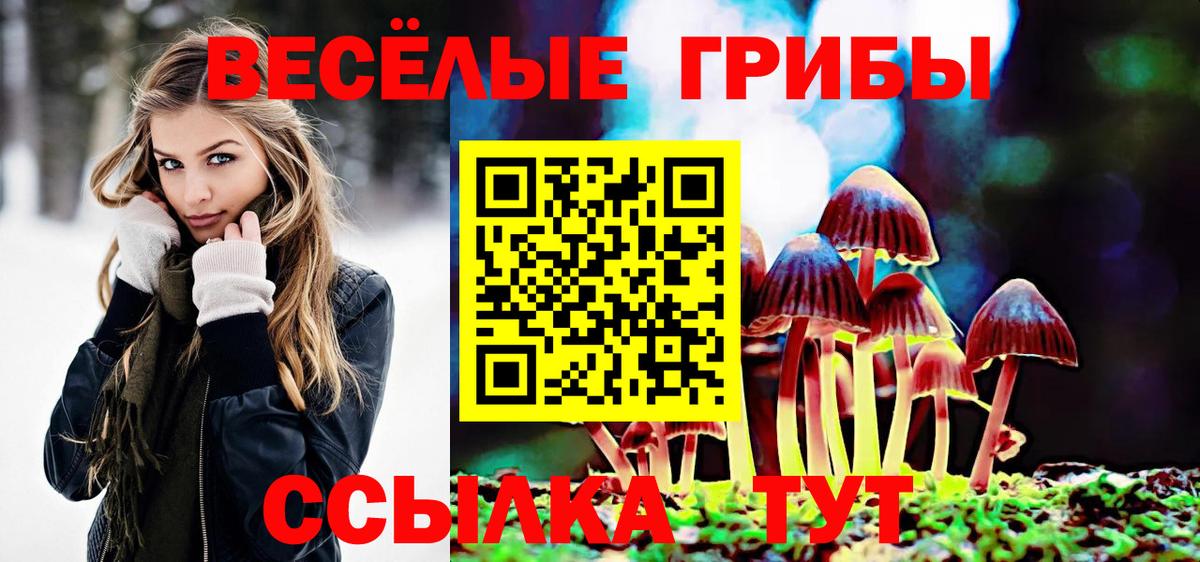 Нефтекумск  Псилоцибиновые грибы ЛСД  купить закладку  Вход с VPN 