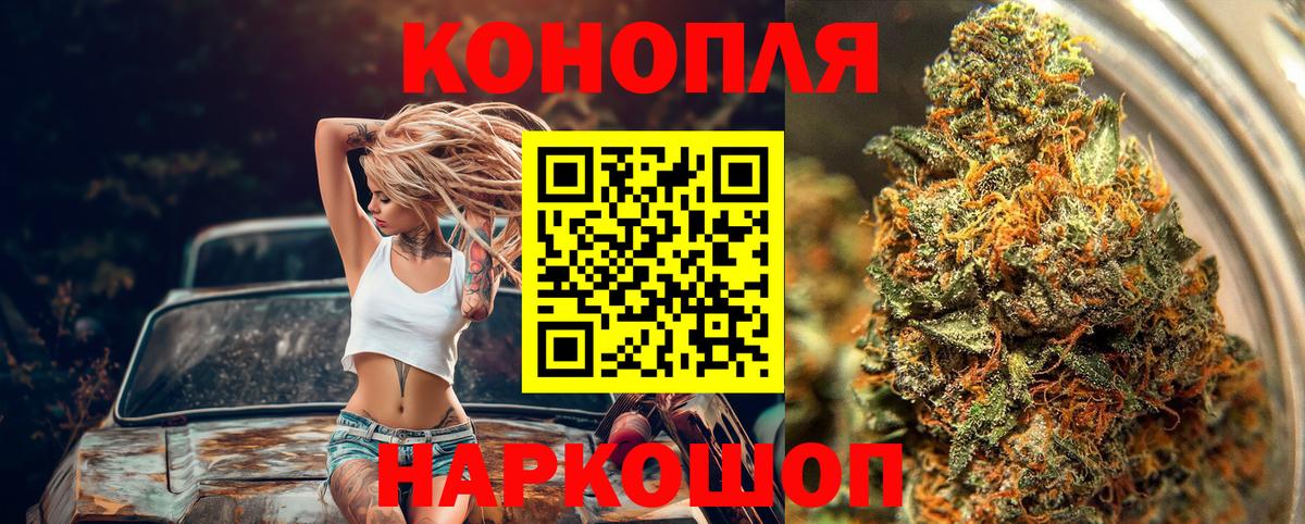 Каннабис гибрид Нефтекумск